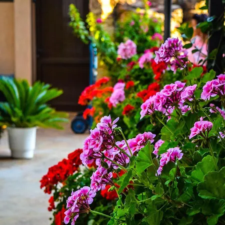 Karolina Hotel